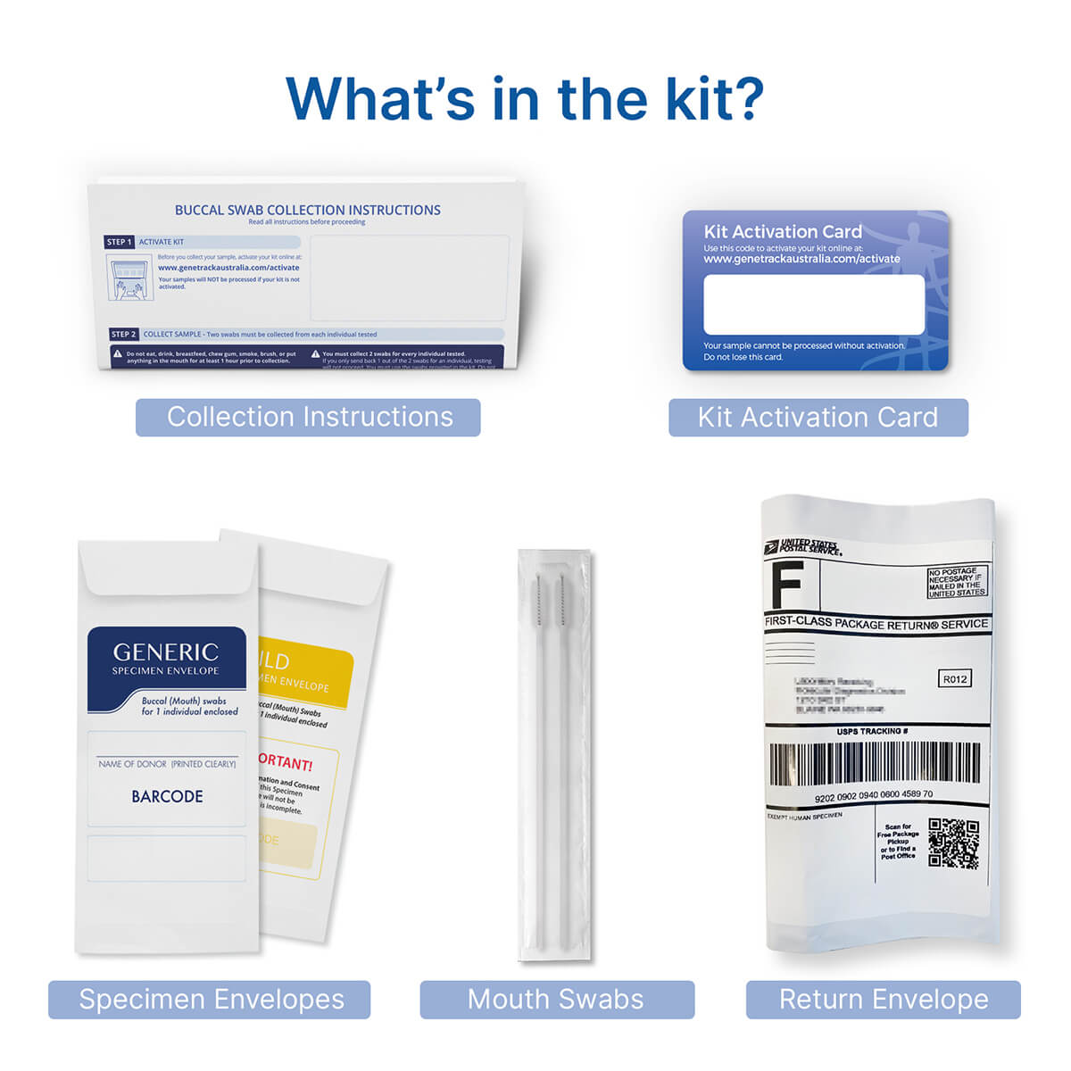 Wanderlust Gene Test 2 Wanderlust Gene Test - Image 2